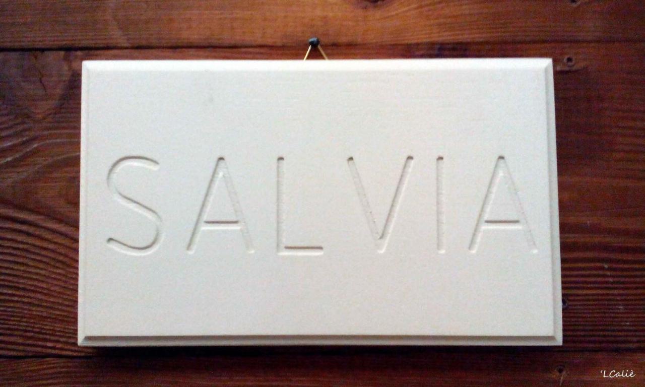 'L Calie Panzió Valdieri Kültér fotó